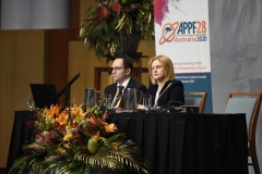 APPF28 Plenary: Economic and Trade Matters