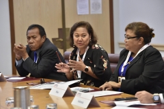 APPF28 Meeting between Indonesia and Pacific Island Nations