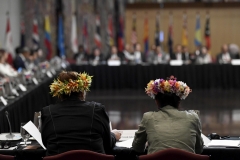 APPF28  Plenary: Political and Security Matters