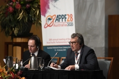 APPF28  Plenary: Political and Security Matters