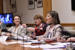 APPF28 Women Parliamentarians Working Group