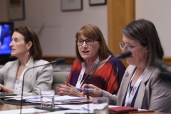 APPF28 Women Parliamentarians Working Group