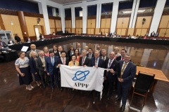 APPF28 Plenary: Final